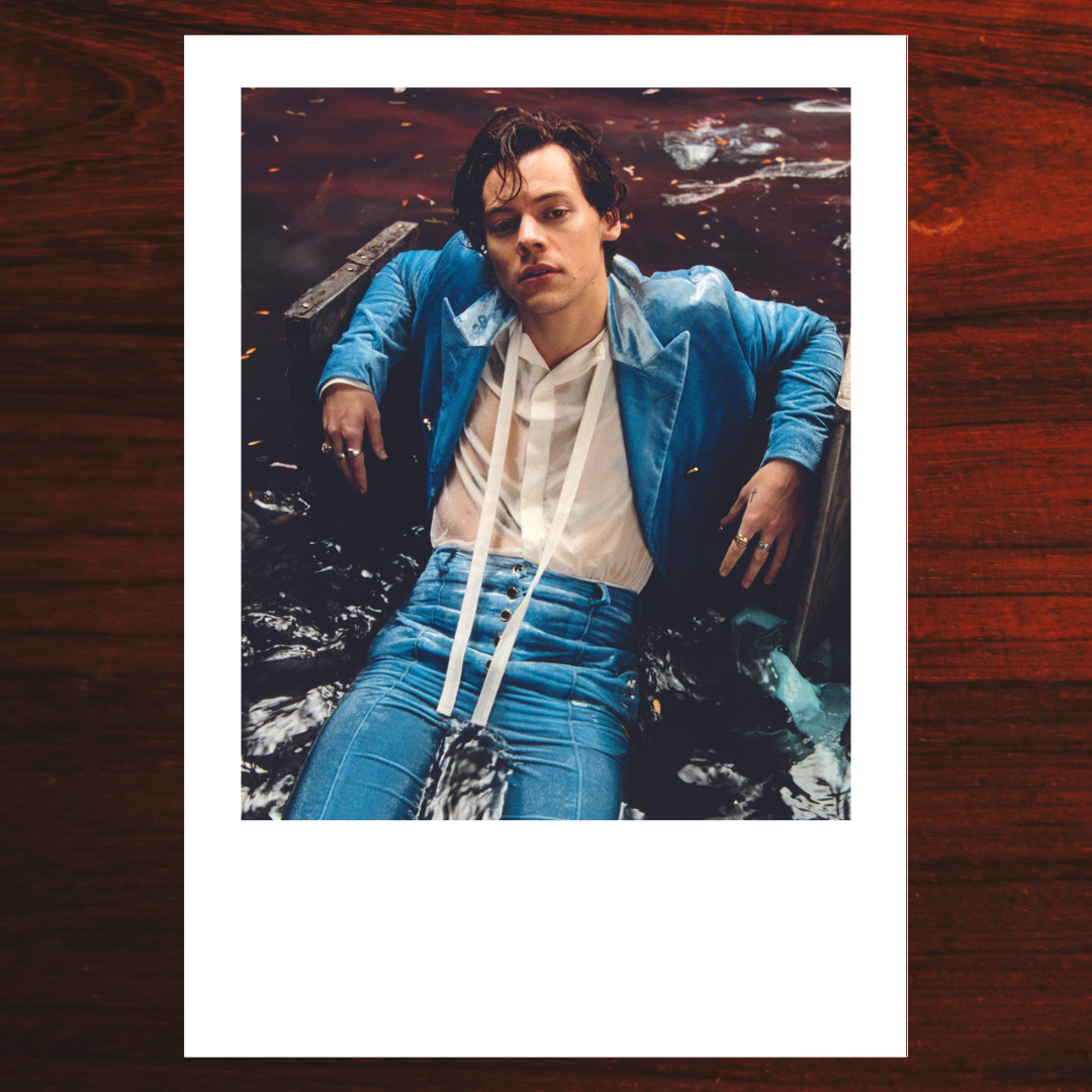 Harry Styles Polaroid #02