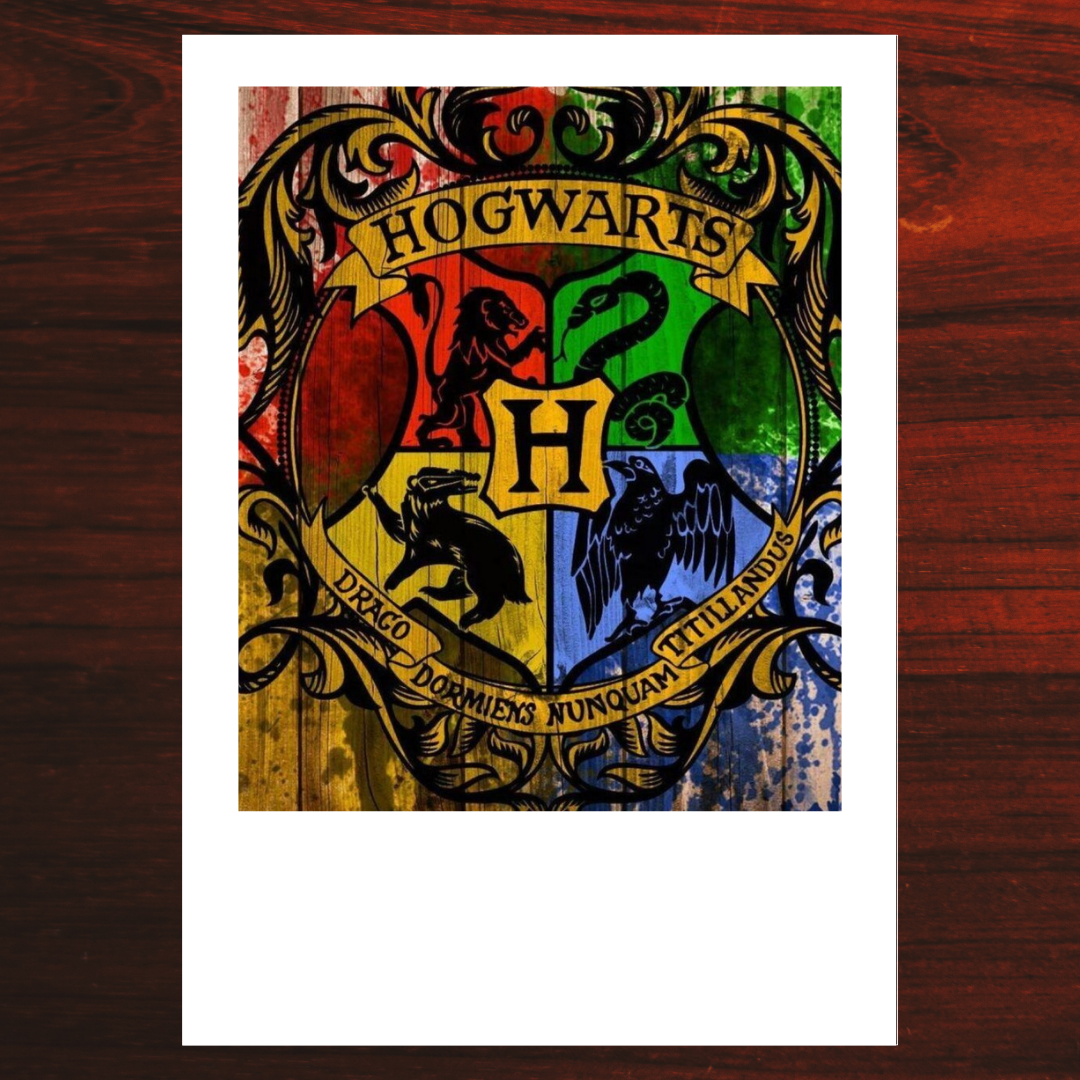 Harry Potter Polaroid #05