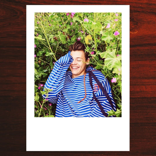 Harry Styles Polaroid #04